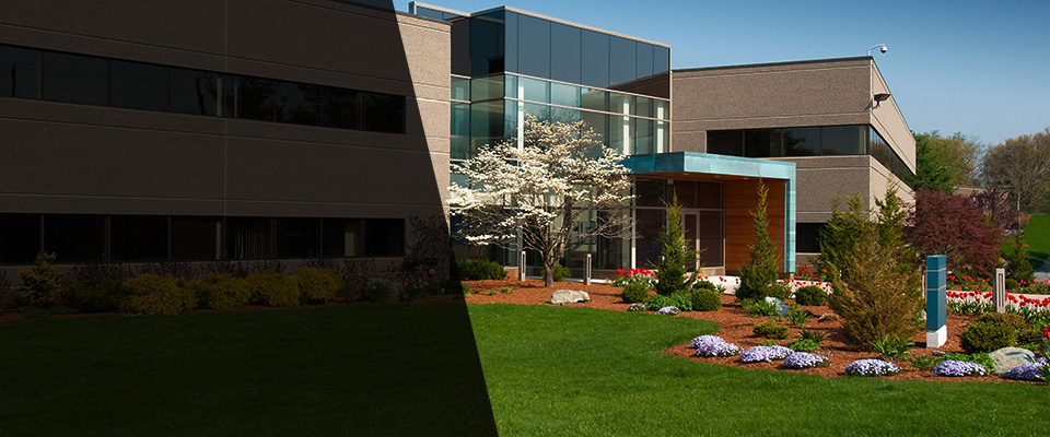 Cold Spring Landscapers