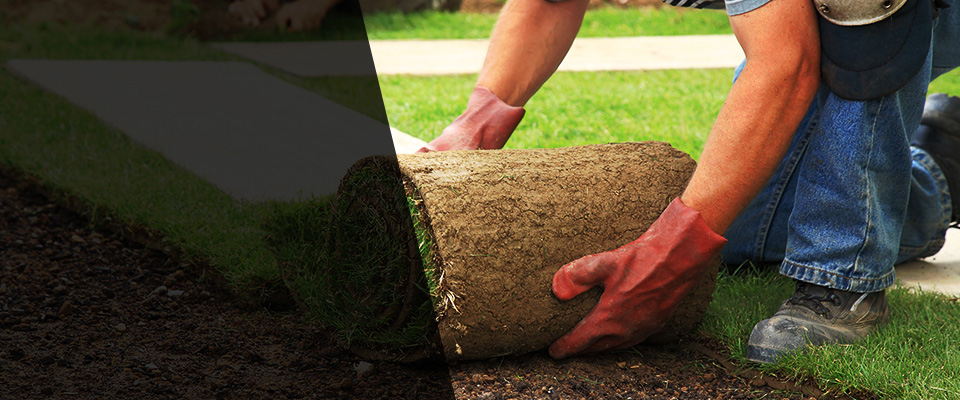 Cold Spring Landscapers